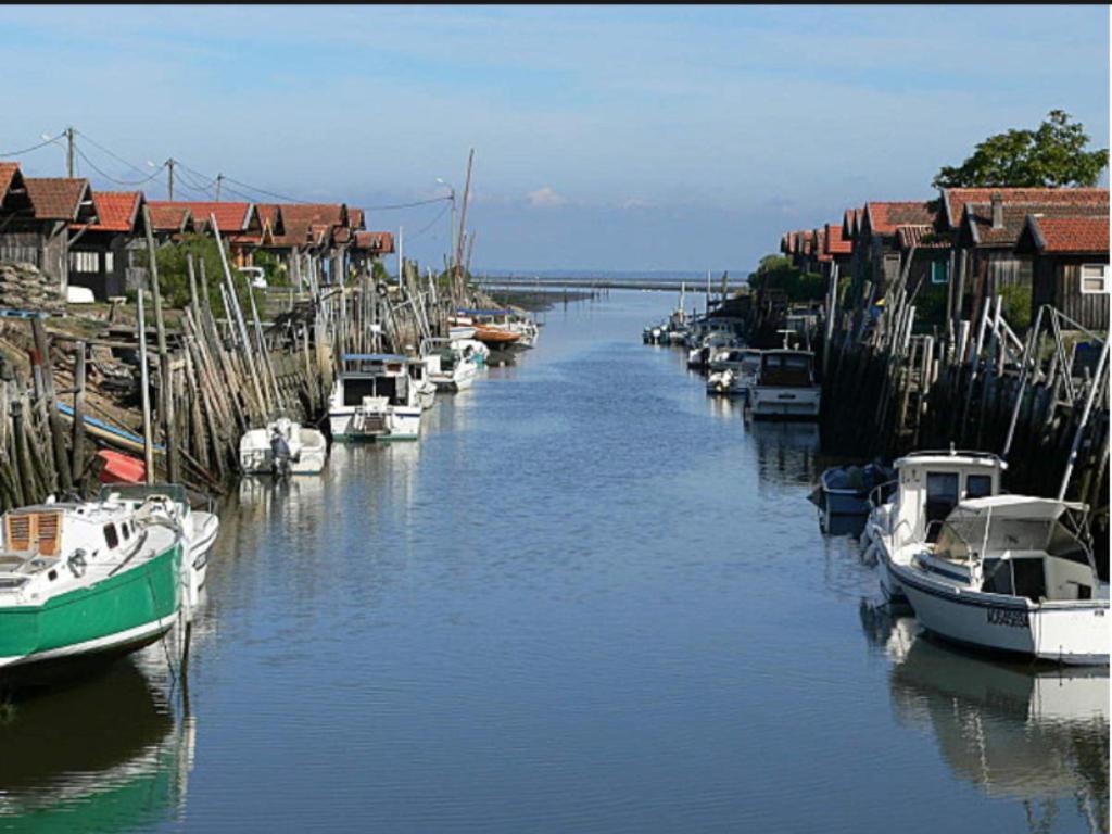 Hotel Particulier - Les Lodges Du Bassin D'Arcachon- Petit-Dejeuner Sur Demande- Prestations Haut De Gamme Gujan-Mestras Exteriör bild