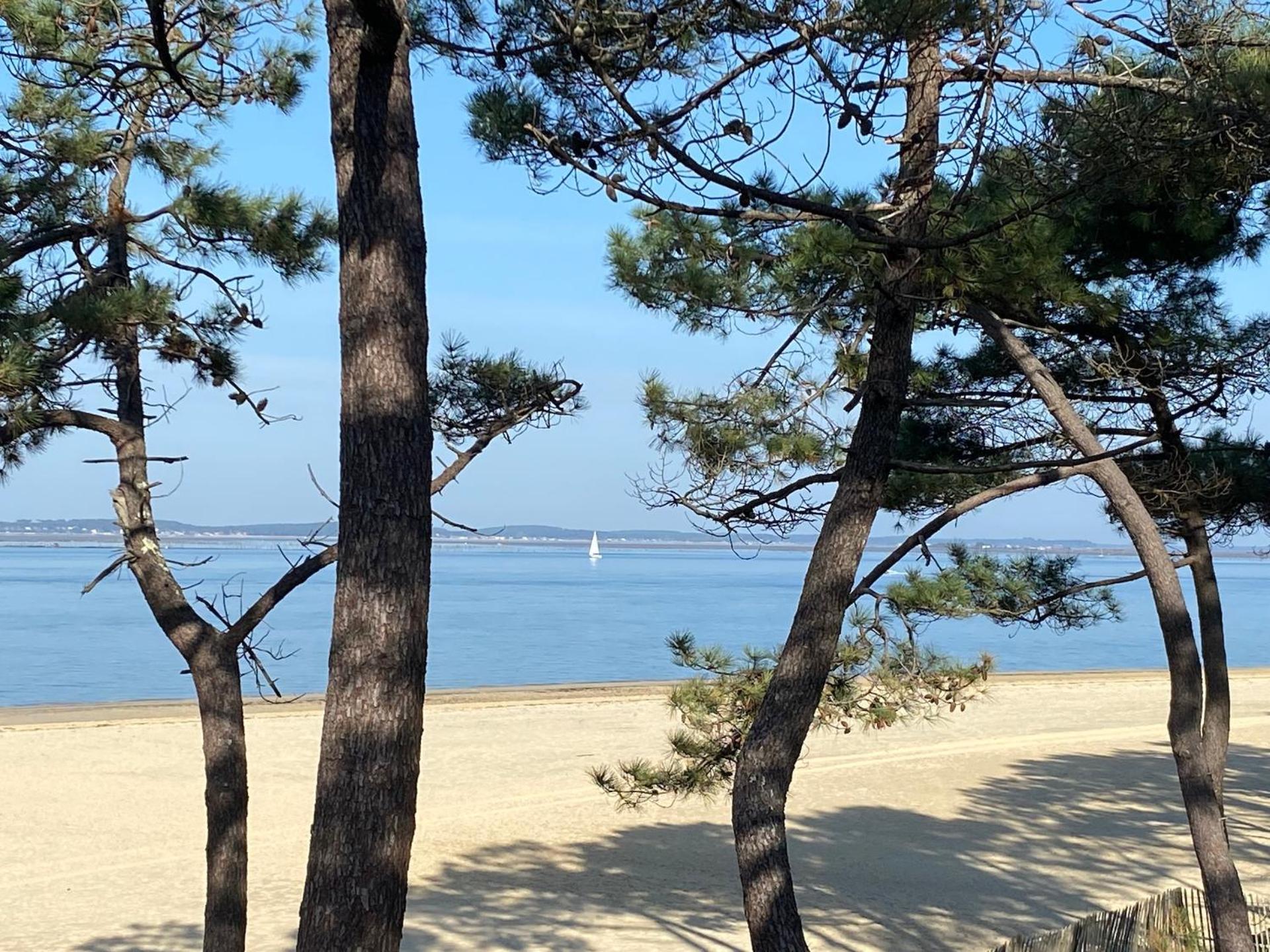 Hotel Particulier - Les Lodges Du Bassin D'Arcachon- Petit-Dejeuner Sur Demande- Prestations Haut De Gamme Gujan-Mestras Exteriör bild