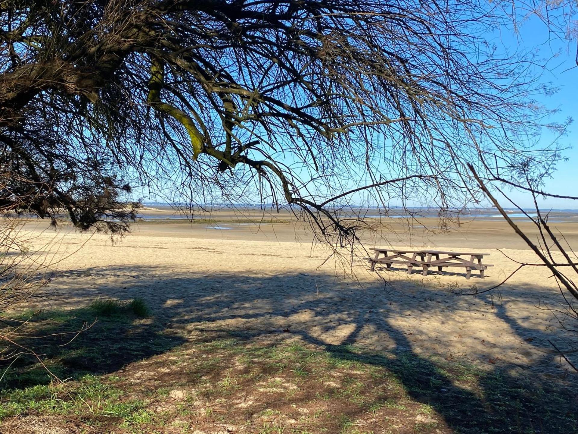 Hotel Particulier - Les Lodges Du Bassin D'Arcachon- Petit-Dejeuner Sur Demande- Prestations Haut De Gamme Gujan-Mestras Exteriör bild