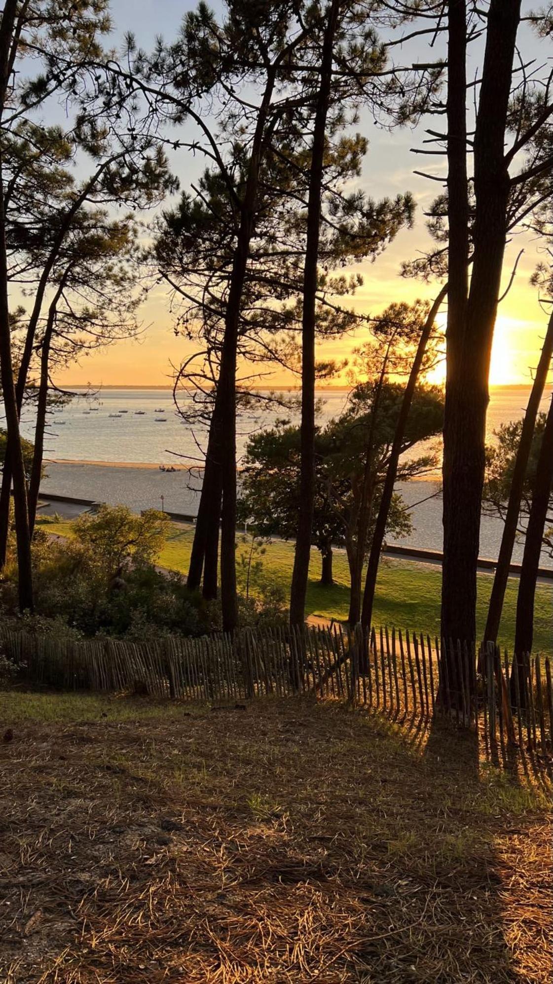 Hotel Particulier - Les Lodges Du Bassin D'Arcachon- Petit-Dejeuner Sur Demande- Prestations Haut De Gamme Gujan-Mestras Exteriör bild