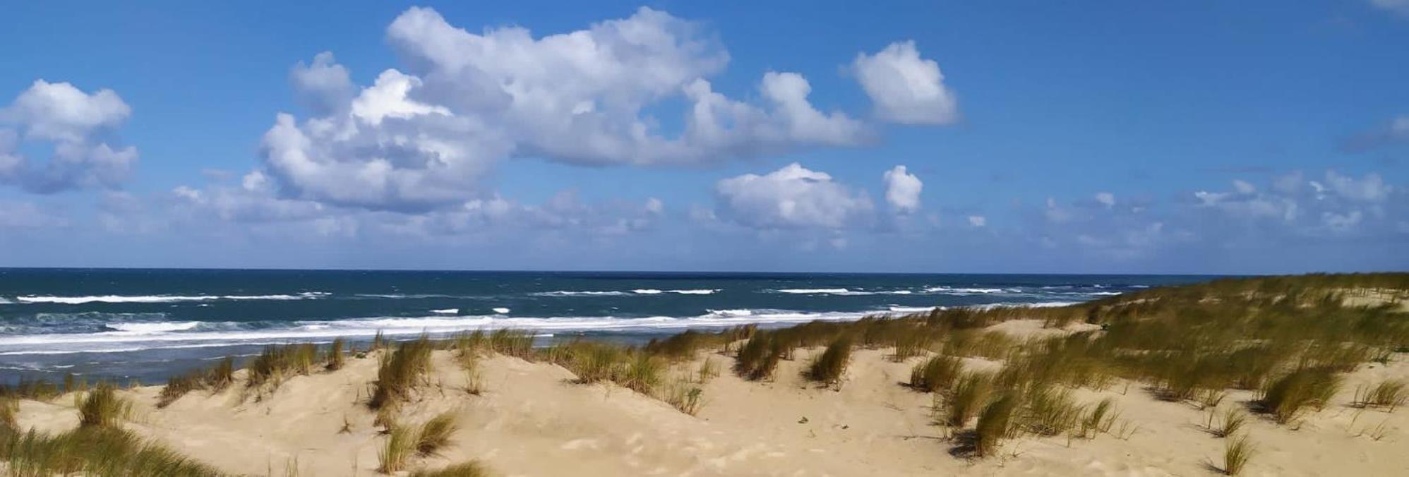 Hotel Particulier - Les Lodges Du Bassin D'Arcachon- Petit-Dejeuner Sur Demande- Prestations Haut De Gamme Gujan-Mestras Exteriör bild