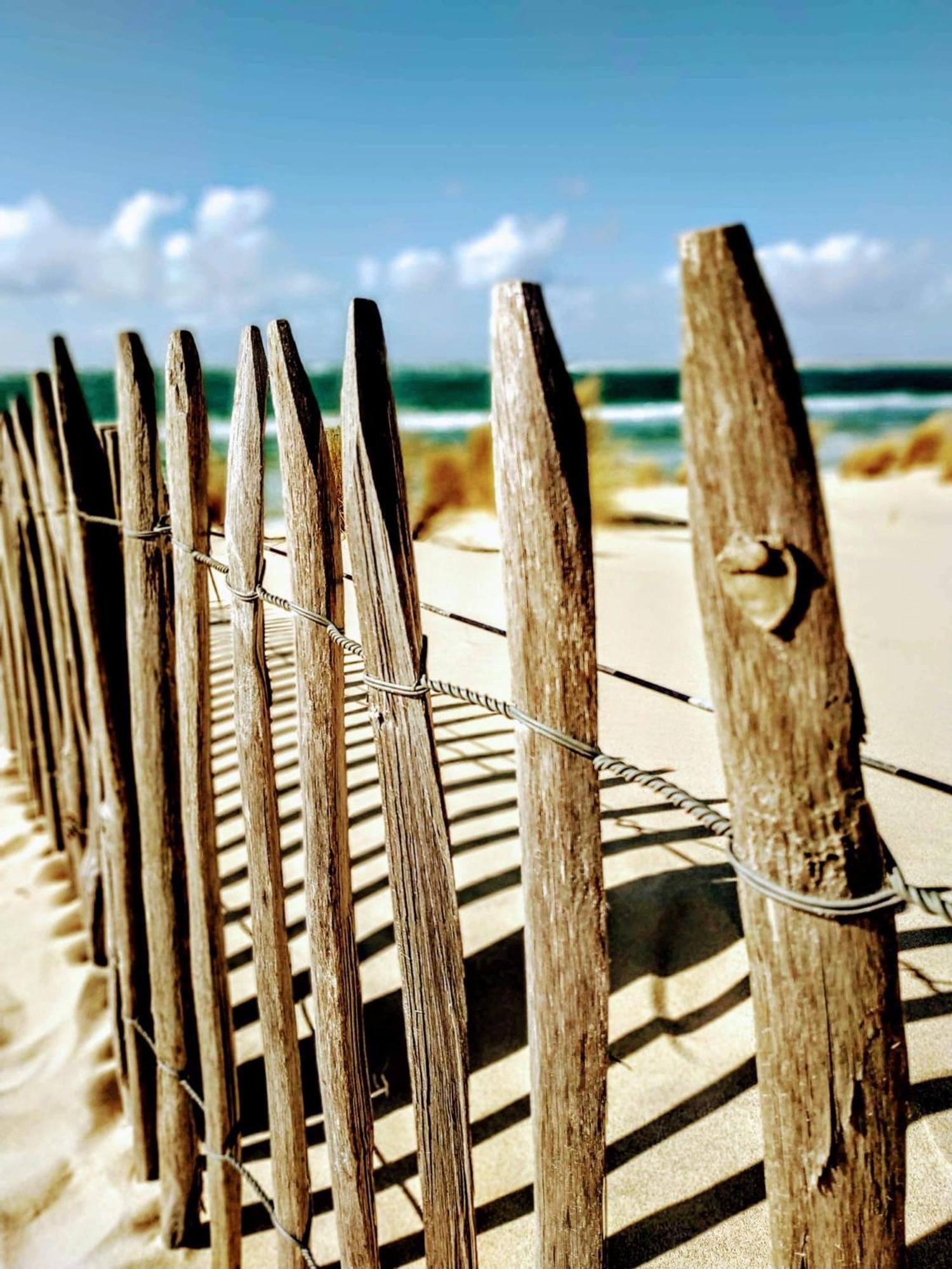 Hotel Particulier - Les Lodges Du Bassin D'Arcachon- Petit-Dejeuner Sur Demande- Prestations Haut De Gamme Gujan-Mestras Exteriör bild